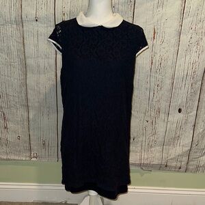 Elegant Navy blue Lace Dress with White Collar